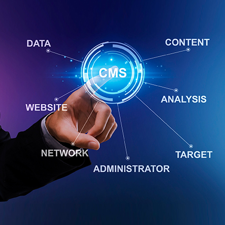 CMS Development